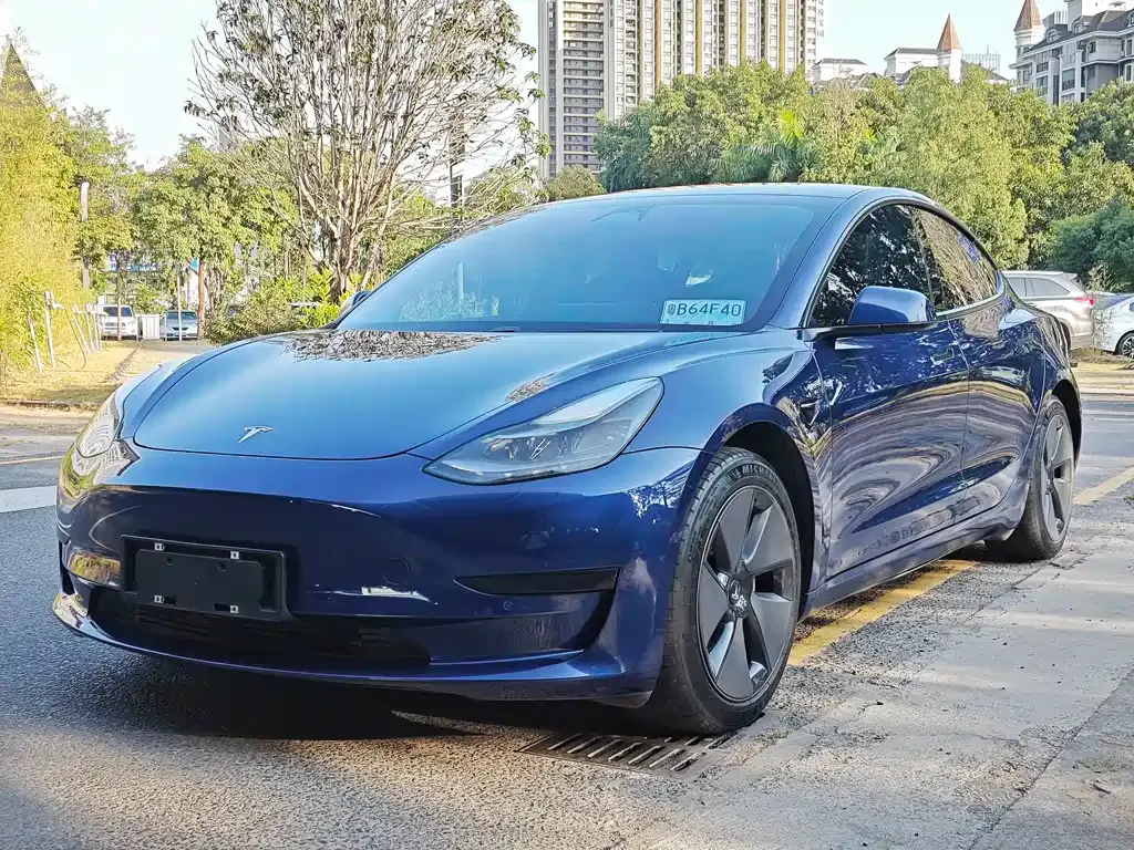Tesla Model 3 2021 из CN, фото 1
