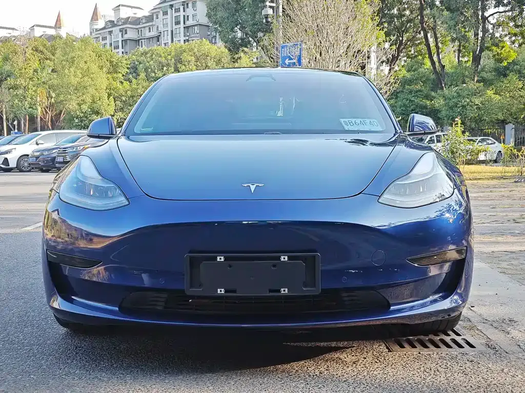 Tesla Model 3 2021 из CN, фото 9