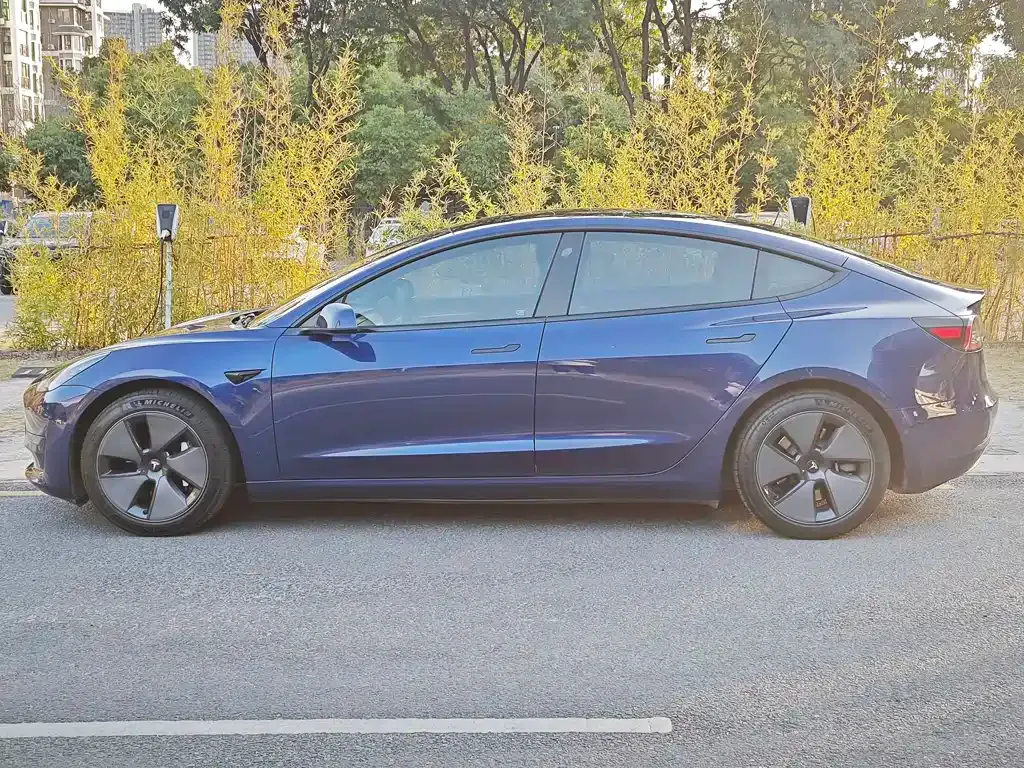 Tesla Model 3 2021 из CN, фото 7