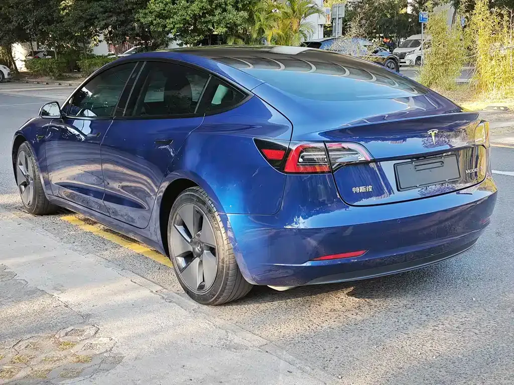 Tesla Model 3 2021 из CN, фото 3