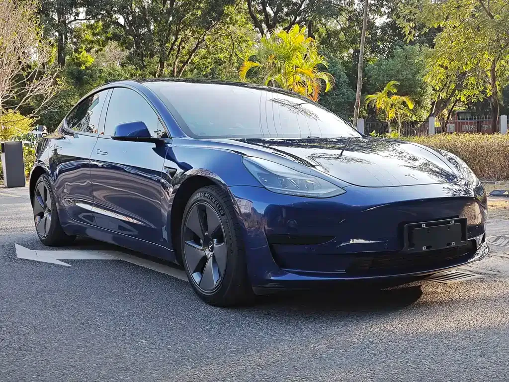 Tesla Model 3 2021 из CN, фото 5