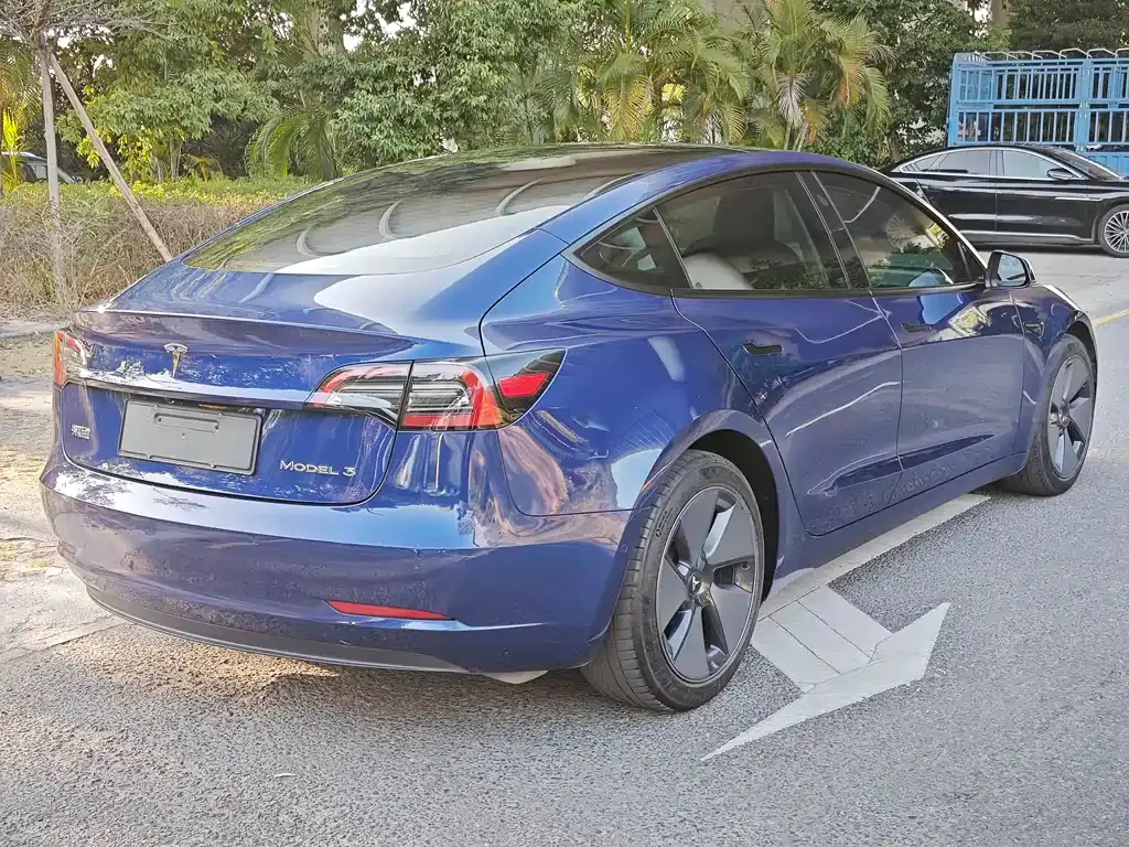 Tesla Model 3 2021 из CN, фото 6