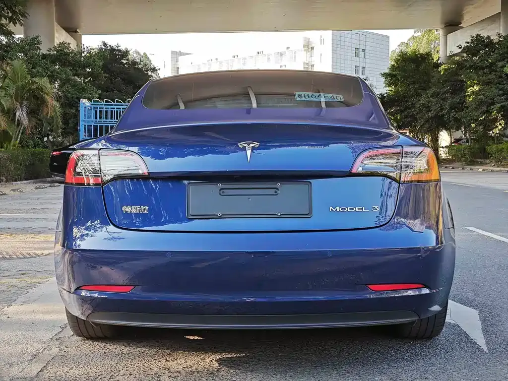 Tesla Model 3 2021 из CN, фото 4