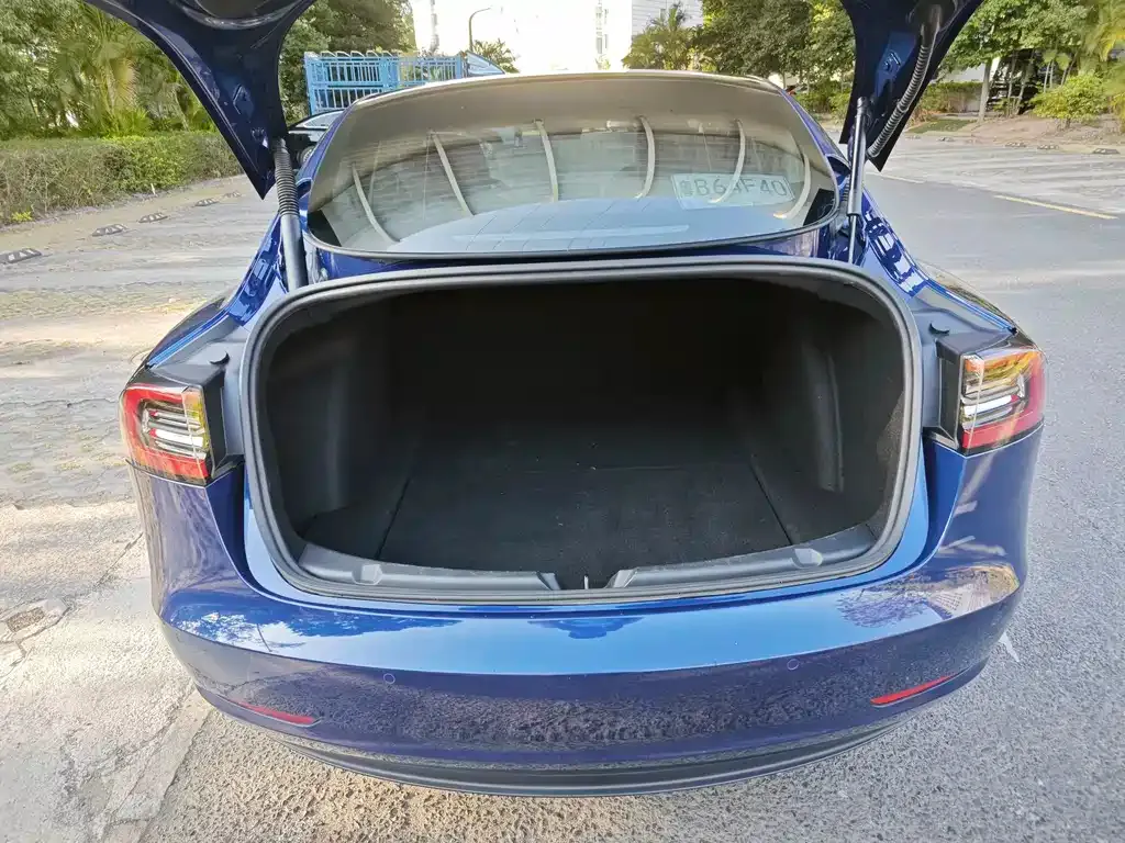 Tesla Model 3 2021 из CN, фото 2