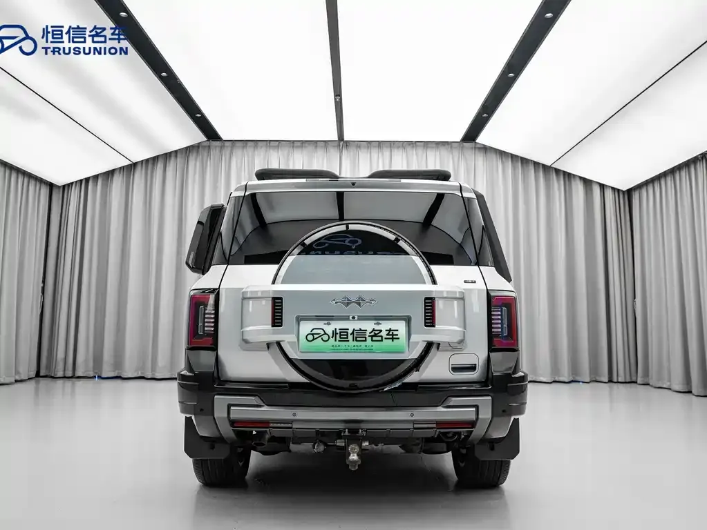 Fang Cheng Bao Leopard 8 2025 из CN, фото 10