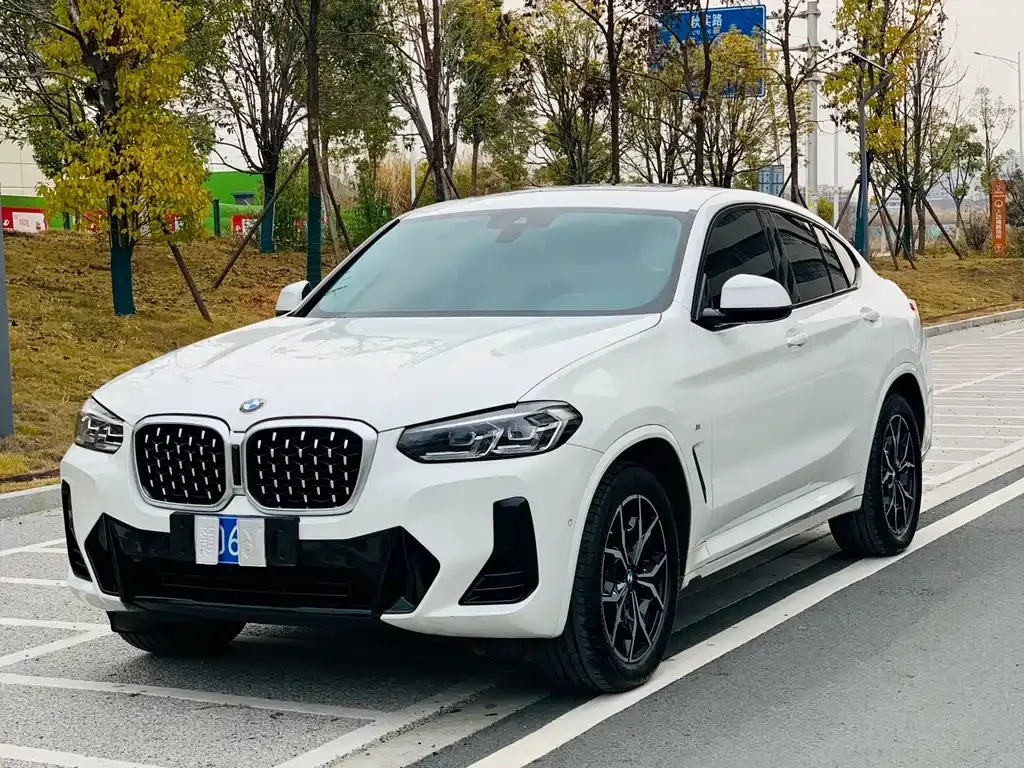 BMW X4 2022 из CN, фото 1