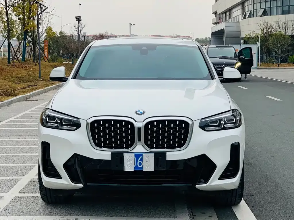 BMW X4 2022 из CN, фото 6