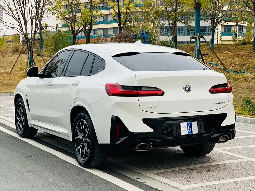 BMW X4 2022 из CN, фото 10