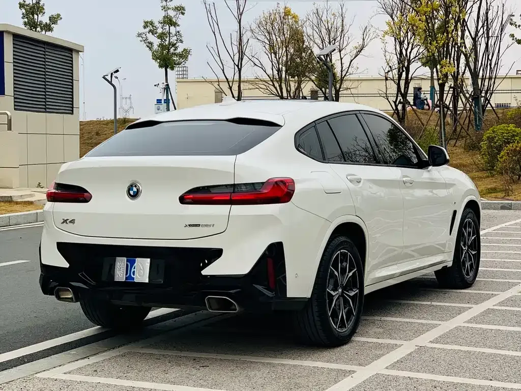 BMW X4 2022 из CN, фото 9