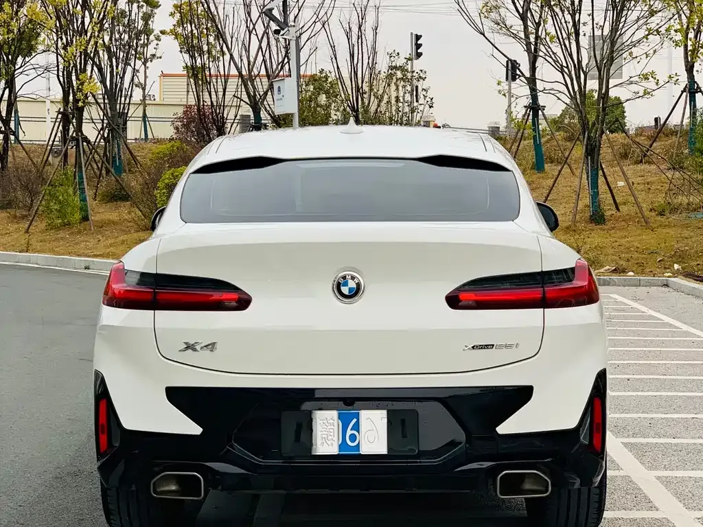 BMW X4 2022 из CN, фото 8