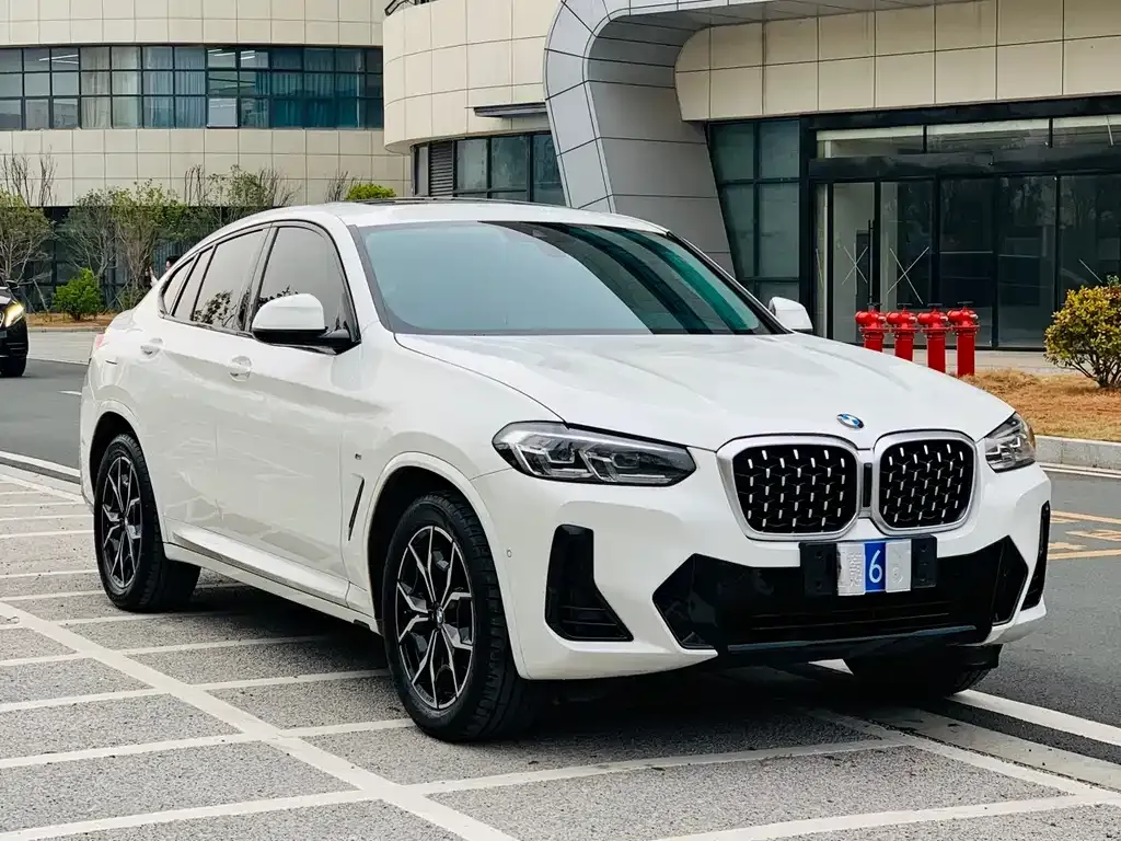 BMW X4 2022 из CN, фото 3