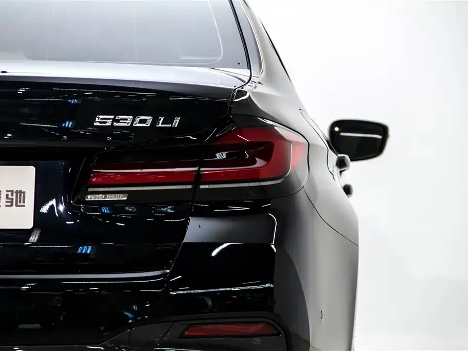 BMW 5 Series 2023 из CN, фото 9
