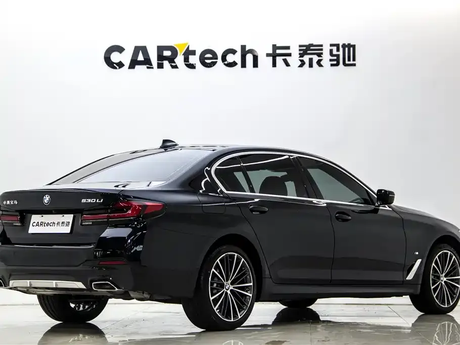 BMW 5 Series 2023 из CN, фото 3