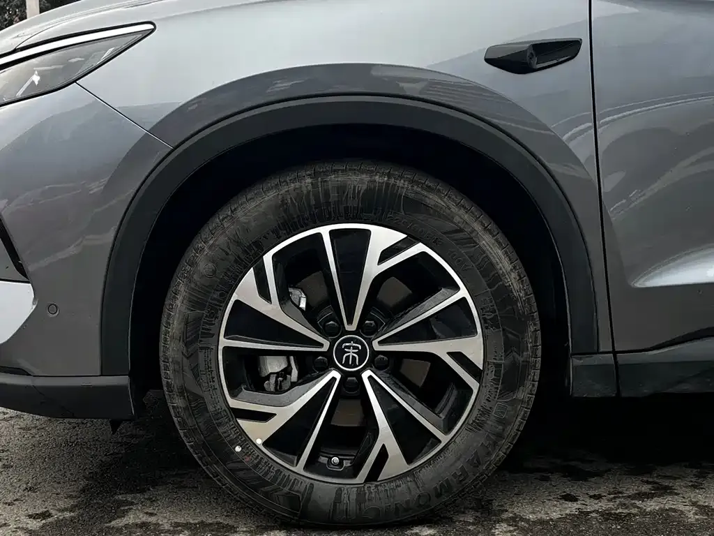 BYD Pro New Energy — фото 4