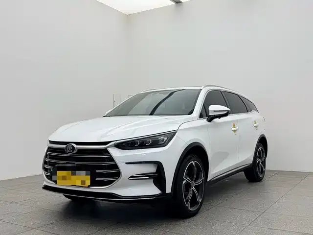 BYD Tang New Energy 2022 из CN, фото 1
