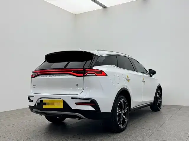 BYD Tang New Energy 2022 из CN, фото 5