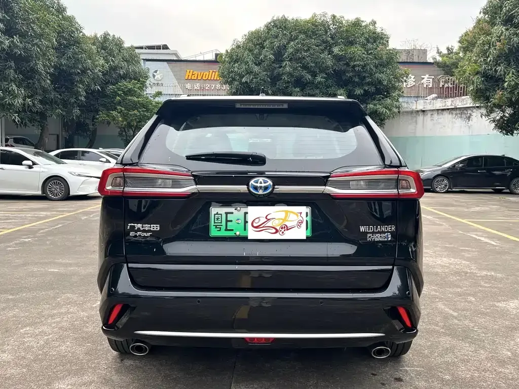 Toyota Wildlander New Energy 2023 из CN, фото 7