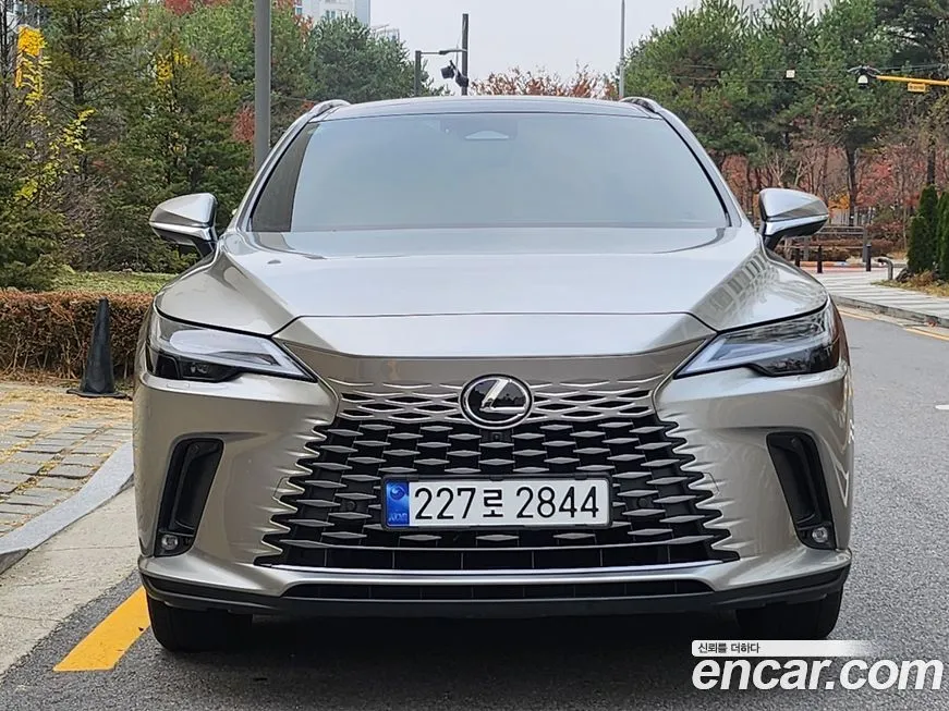 Lexus RX — фото 1