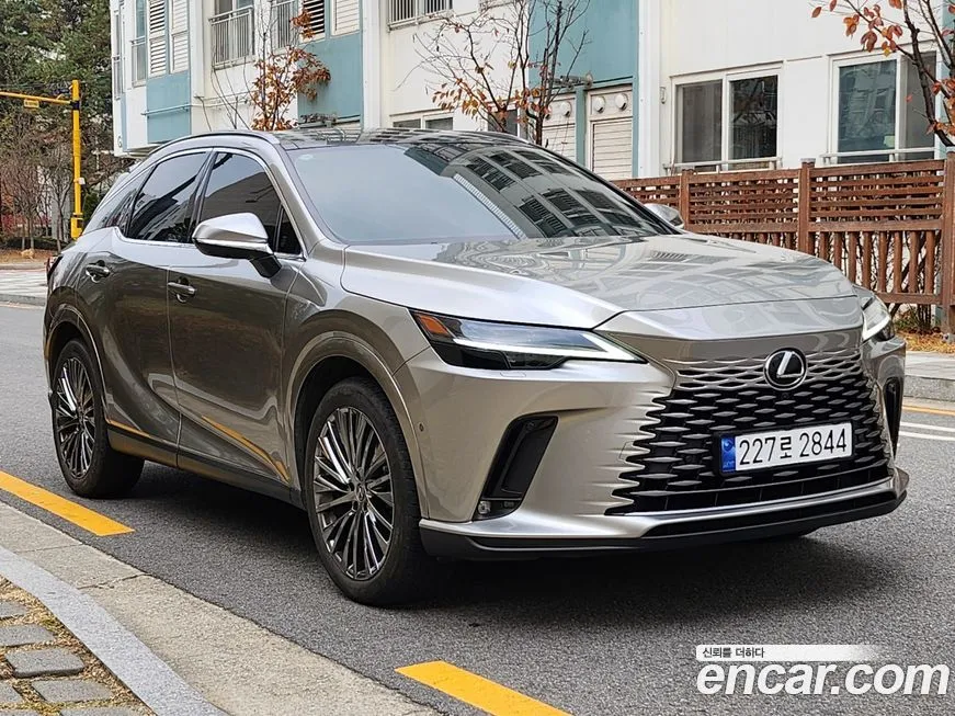 Lexus RX — фото 10