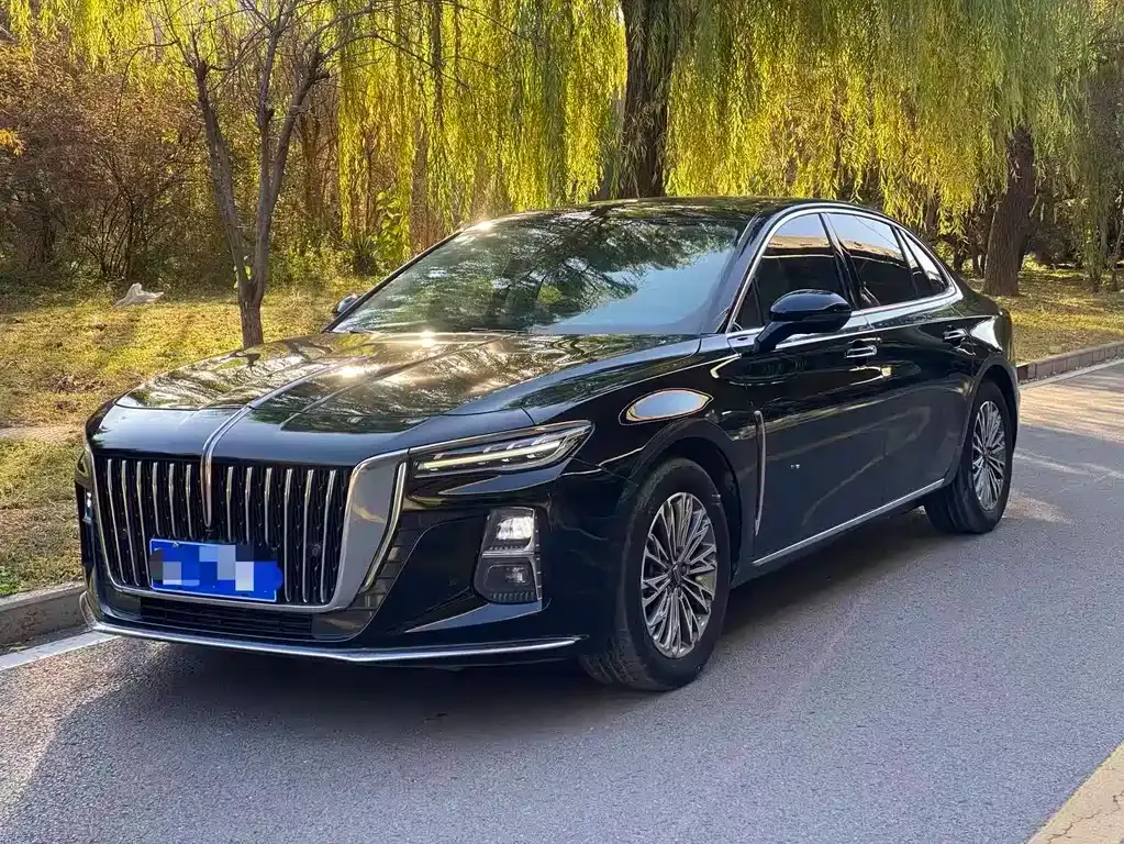 Hongqi H5 2023 из CN, фото 1