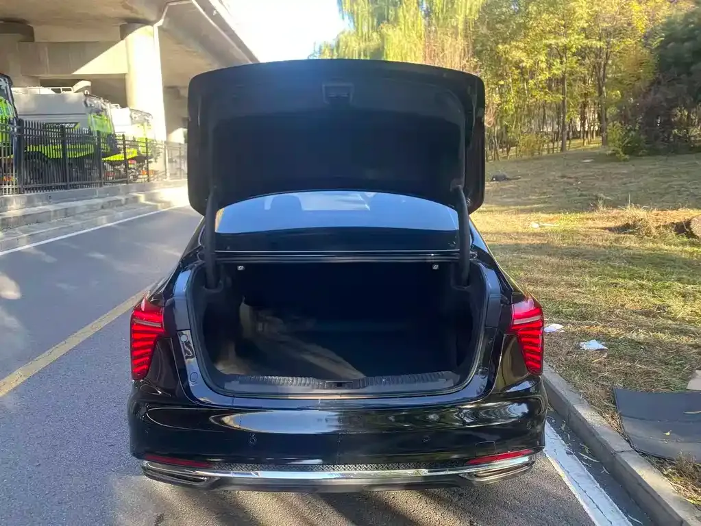 Hongqi H5 2023 из CN, фото 2