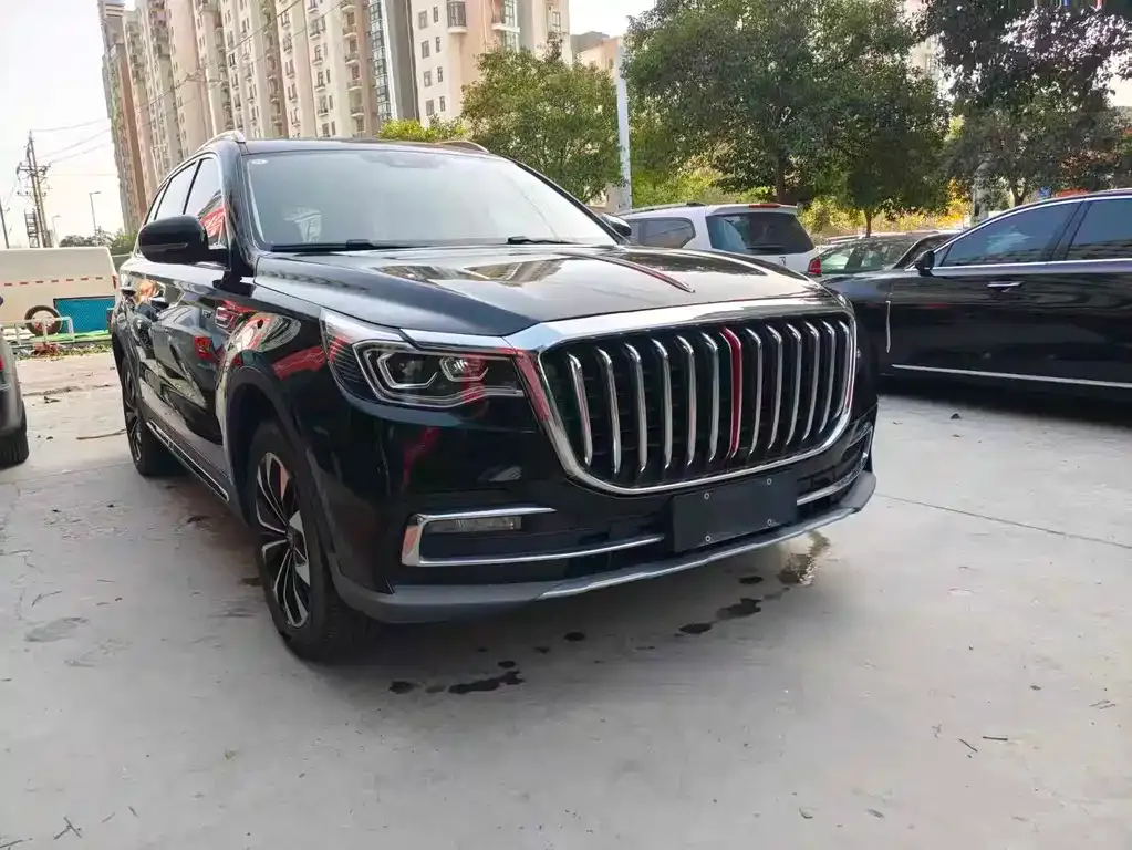 Hongqi HS7 2023 из CN, фото 9