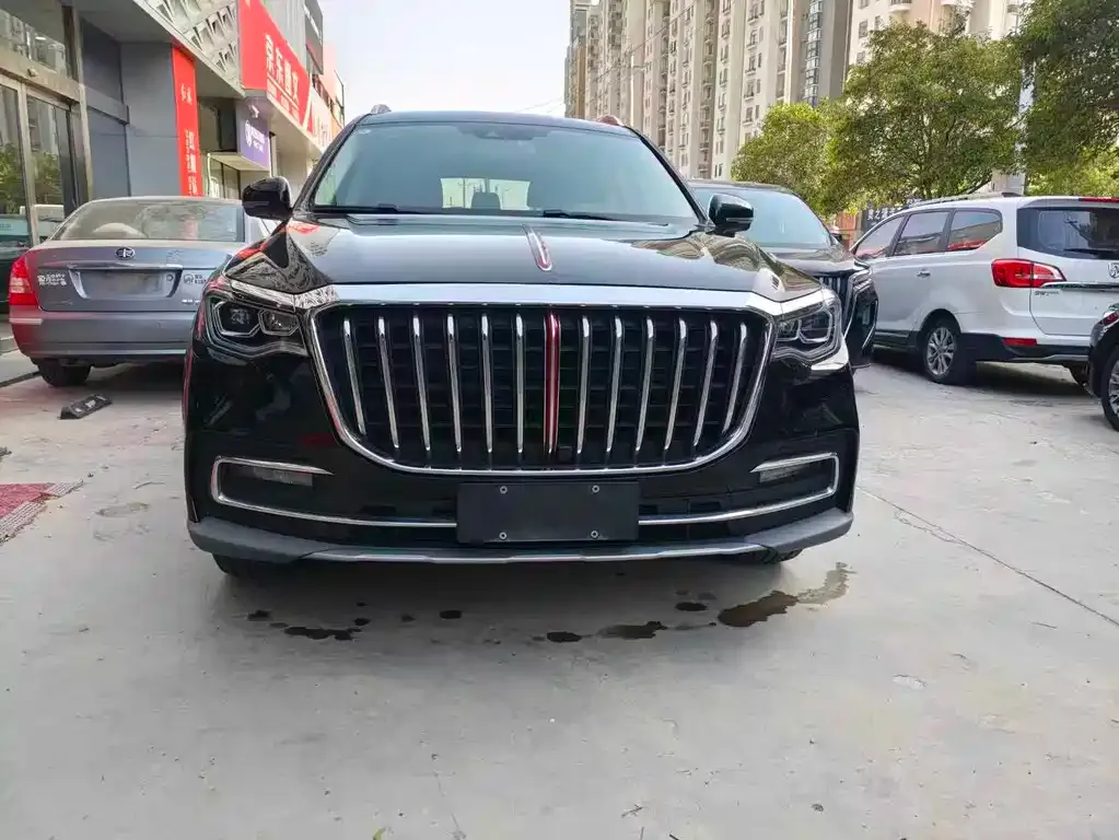 Hongqi HS7 2023 из CN, фото 10