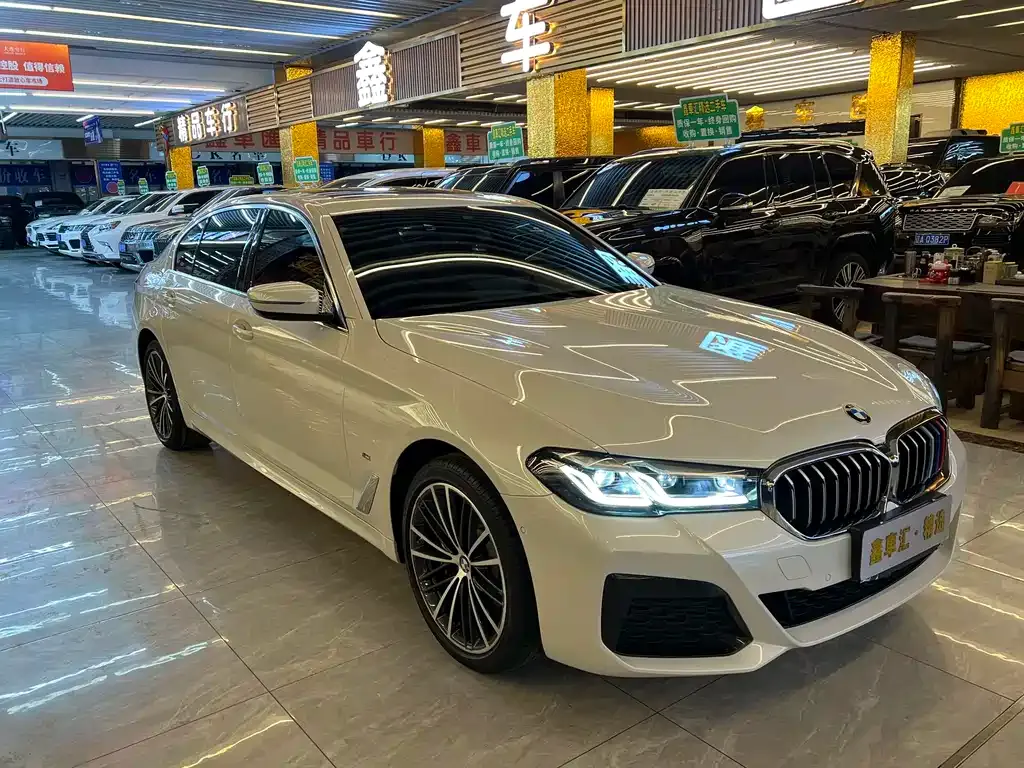 BMW 5 Series 2023 из CN, фото 1