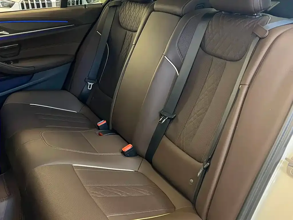 BMW 5 Series 2023 из CN, фото 7