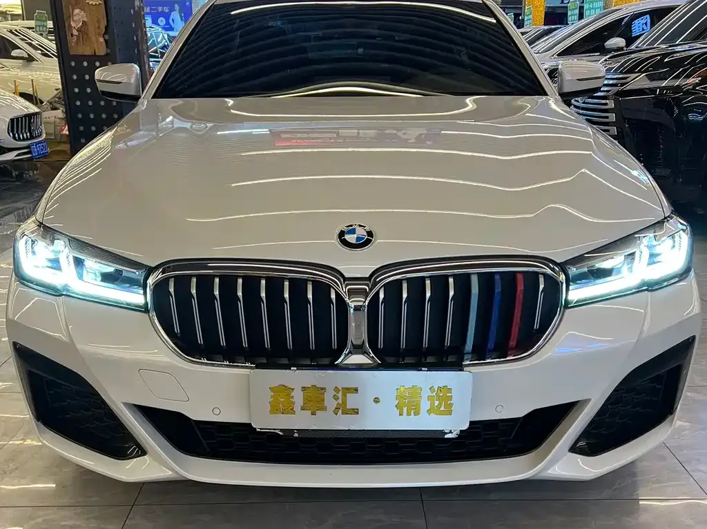 BMW 5 Series 2023 из CN, фото 9