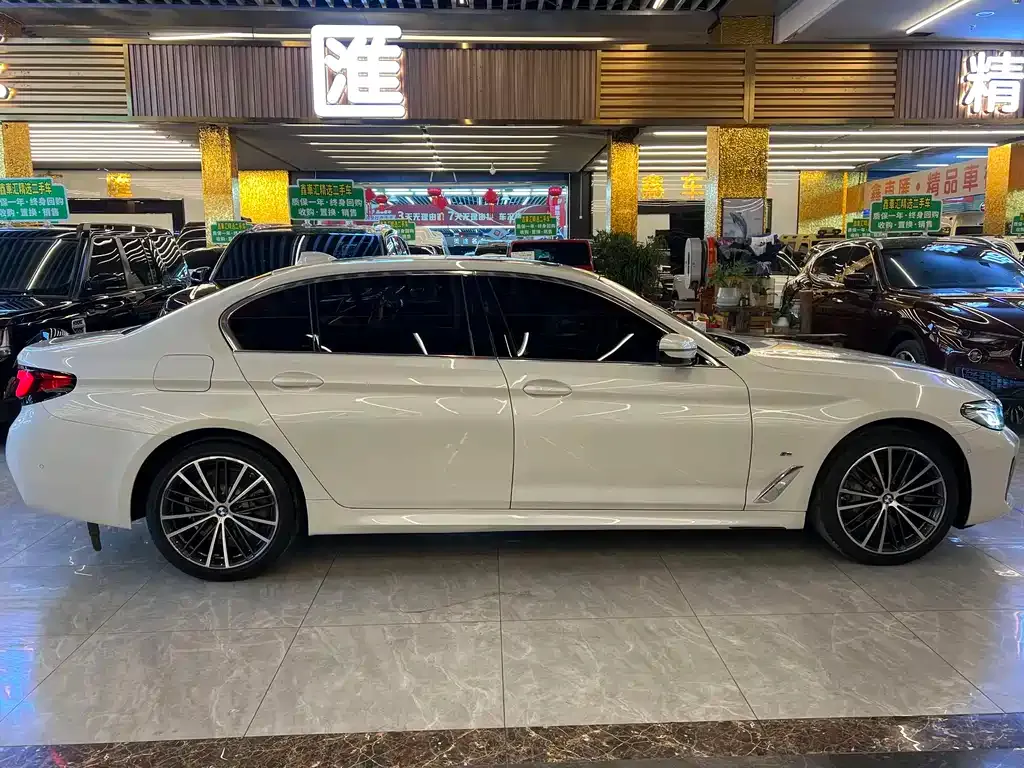 BMW 5 Series 2023 из CN, фото 5