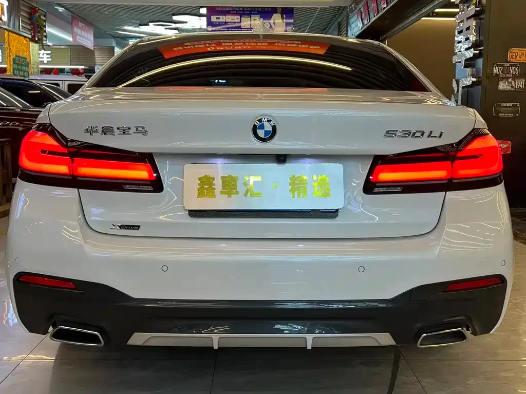 BMW 5 Series 2023 из CN, фото 8