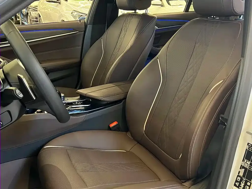 BMW 5 Series 2023 из CN, фото 4