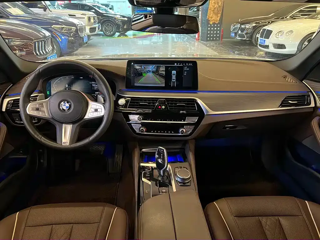 BMW 5 Series 2023 из CN, фото 10