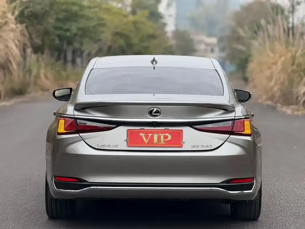 Lexus ES 2021 из CN, фото 5