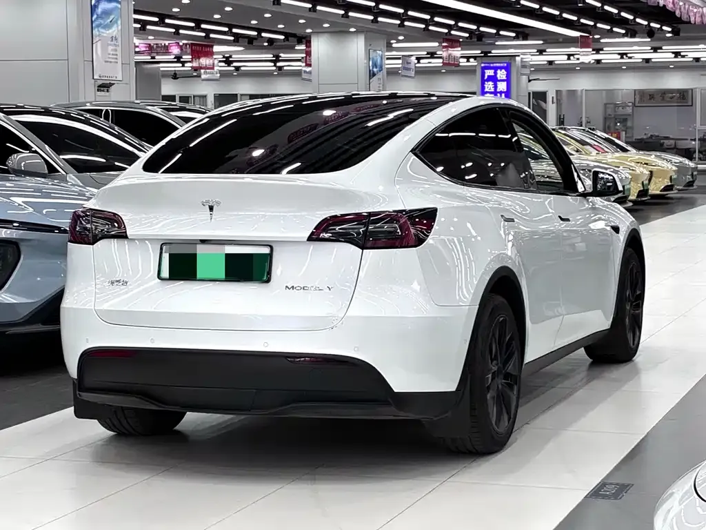 Tesla Model Y 2024 из CN, фото 6