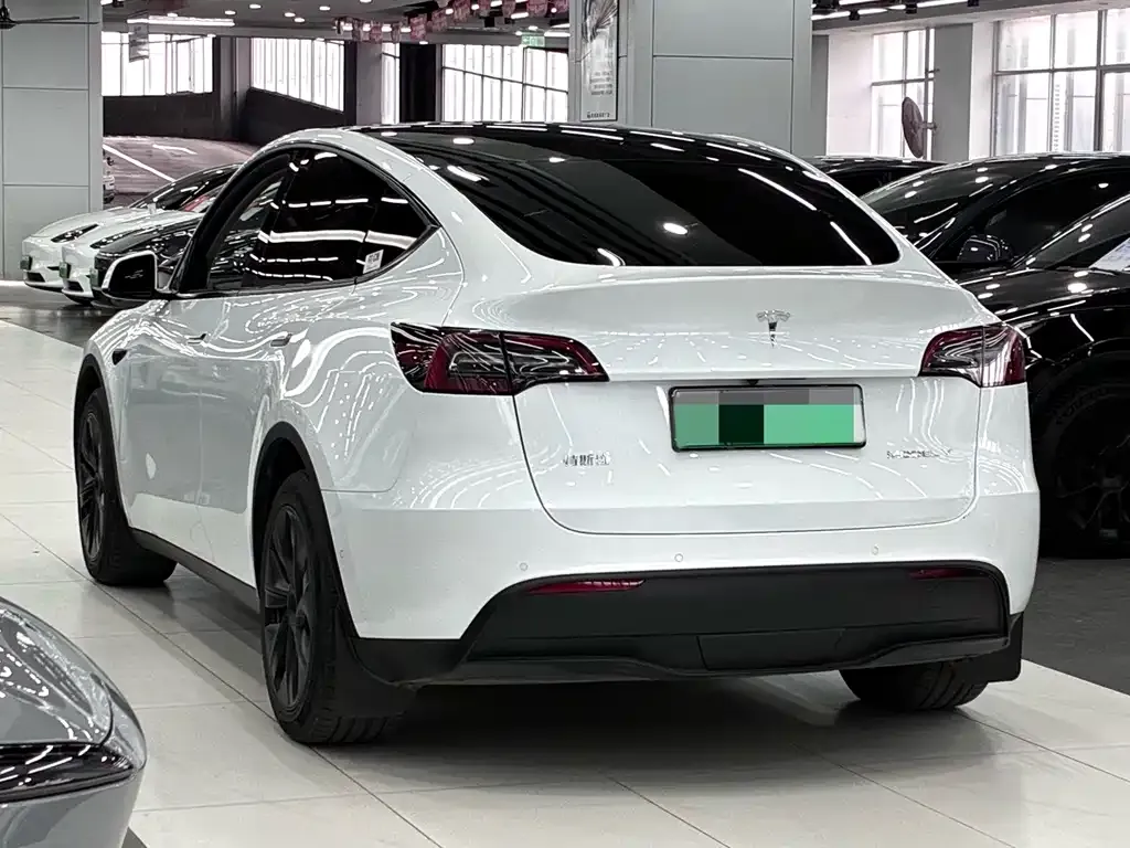 Tesla Model Y 2024 из CN, фото 7