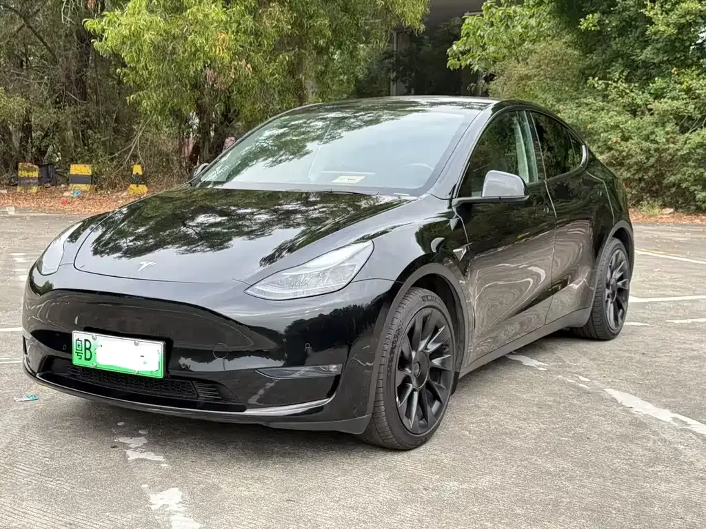 Tesla Model Y 2022 из CN, фото 1