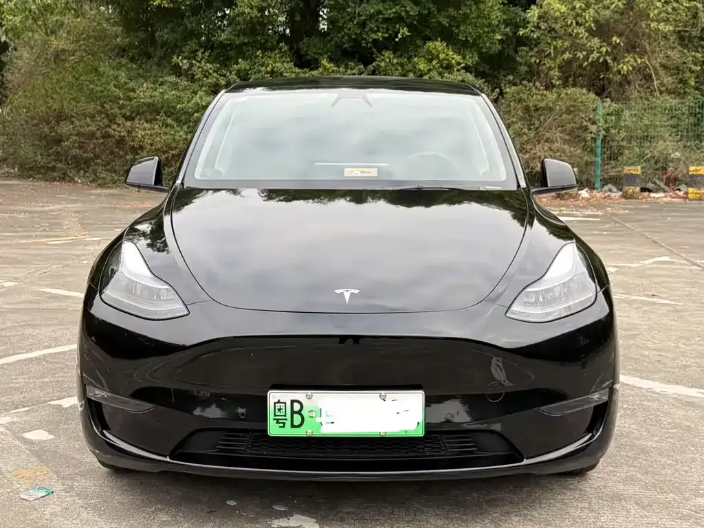 Tesla Model Y 2022 из CN, фото 4
