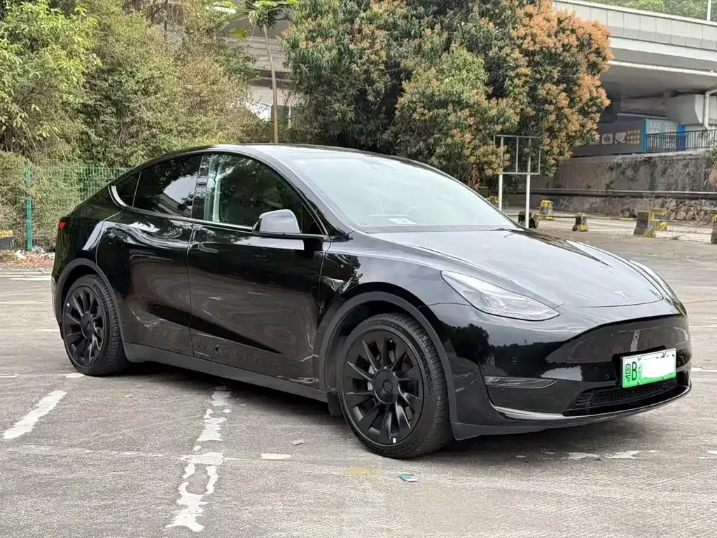 Tesla Model Y 2022 из CN, фото 5