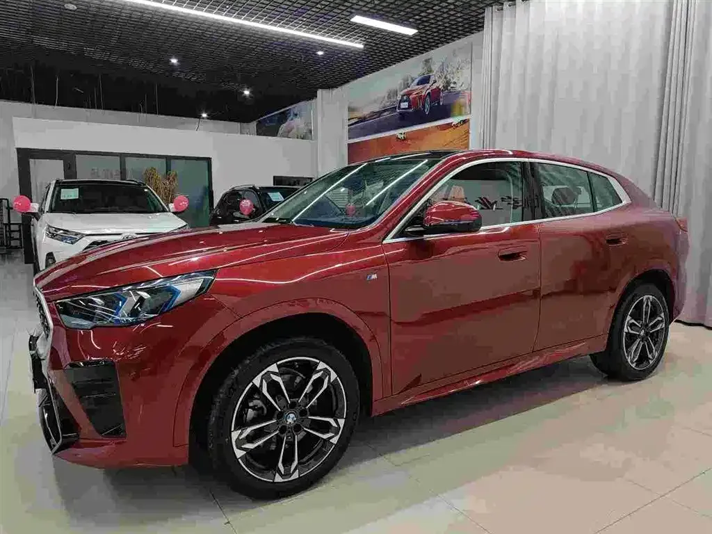 BMW X2 (Import) 2024 из CN, фото 1