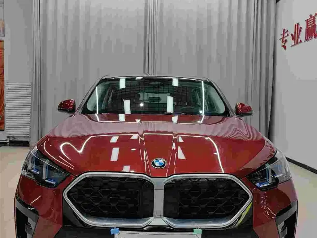 BMW X2 (Import) 2024 из CN, фото 3