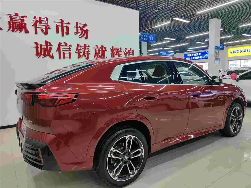 BMW X2 (Import) 2024 из CN, фото 8