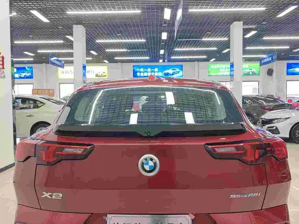 BMW X2 (Import) 2024 из CN, фото 4