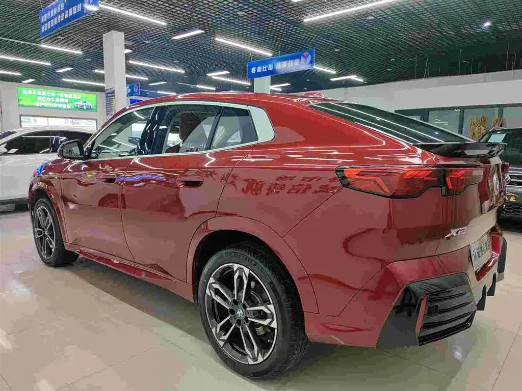 BMW X2 (Import) 2024 из CN, фото 9