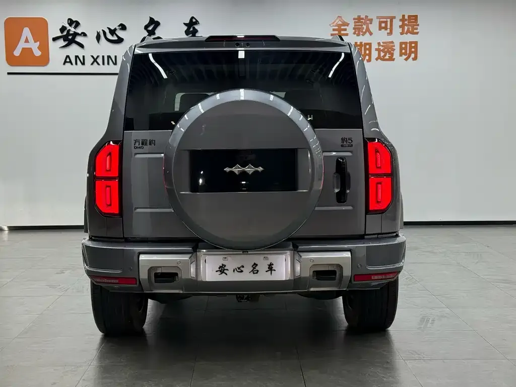 Fang Cheng Bao Leopard 5 2025 из CN, фото 6