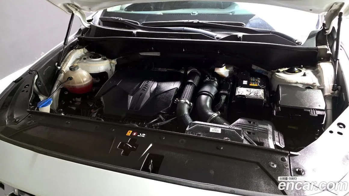 Hyundai Santafe 2021 из KR, фото 9