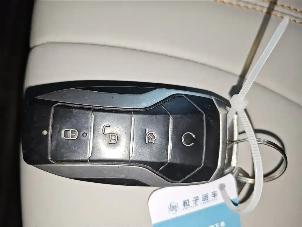 BYD PLUS New Energy 2021 из CN, фото 2