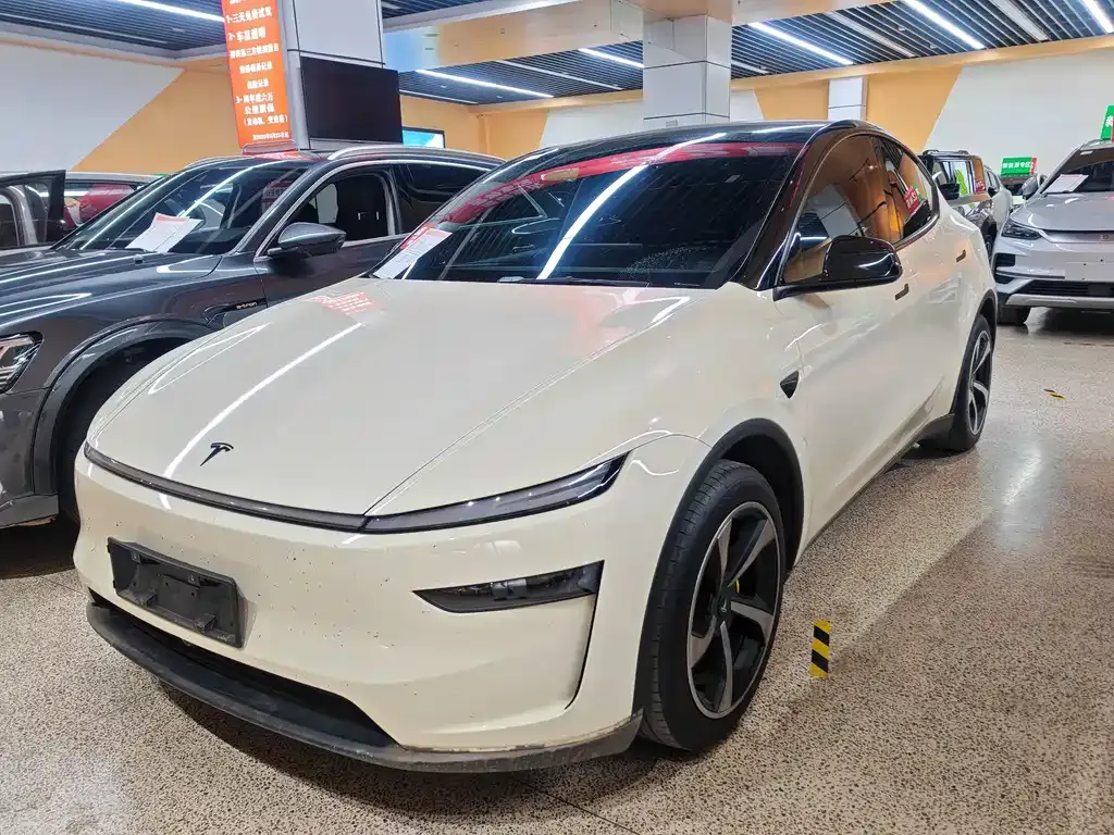 Tesla Model Y 2025 из CN, фото 1