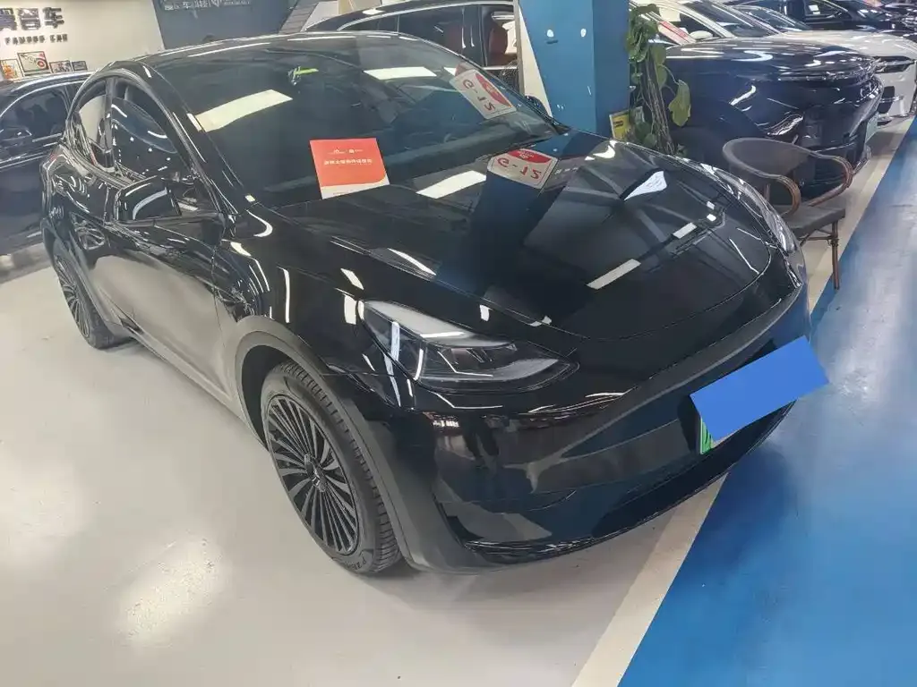 Tesla Model Y 2023 из CN, фото 4